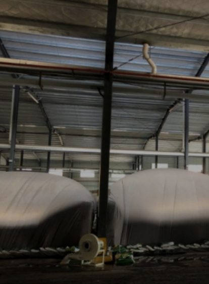 �ŵ�88��(�й���)���޹�˾����